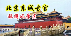 搔妇网站中国北京-东城古宫旅游风景区